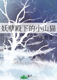 妖孽殿下的小山貓