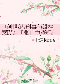『創世紀/刑事偵緝檔案Ⅳ』『張自力/徐飛X江子山』變奏