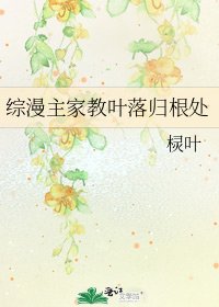 綜漫主家教葉落歸根處