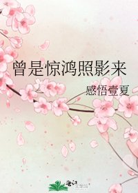 曾是驚鴻照影來
