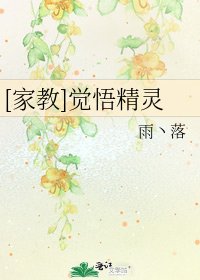 [家教]觉悟精灵
