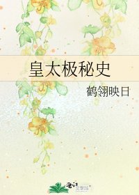 皇太極秘史