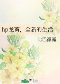 hp龙葵,全新的生活