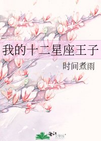 我的十二星座王子