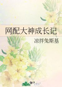 網配大神成長記