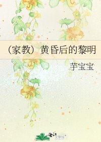 (家教)黄昏后的黎明