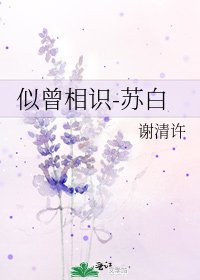 似曾相識-蘇白