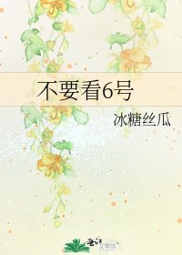 不要看6号