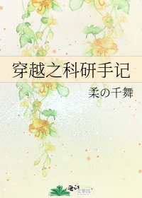 穿越之科研手记