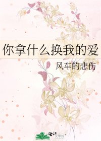 你拿什麼換我的愛
