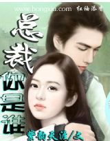 總裁你是誰