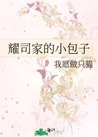 耀司家的小包子