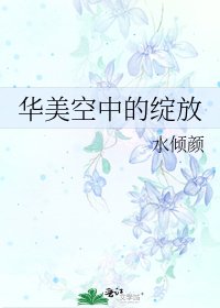 華美空中的綻放