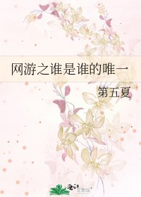 网游之谁是谁的唯一
