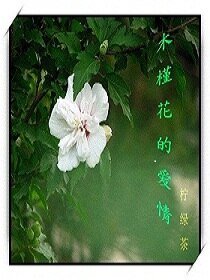 木槿花的皑情