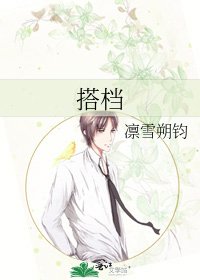 搭档