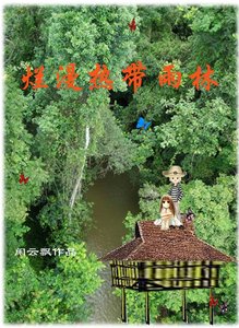 烂漫热带雨林