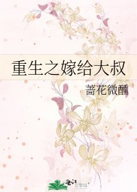 重生之嫁給大叔