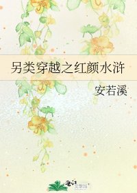 另類穿越之紅顏水滸