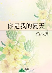 你是我的夏天