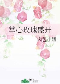 掌心玫瑰盛开