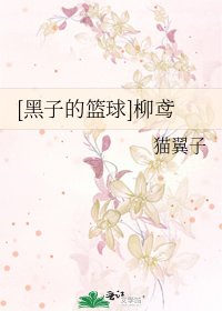 [黑子的籃球]柳鳶