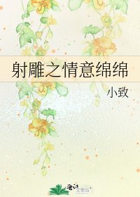 射雕之情意绵绵