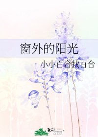 窗外的阳光