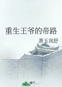 重生王爷的帝路