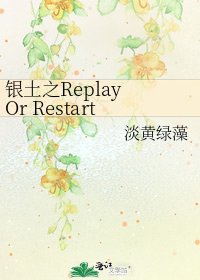 银土之Replay Or Restart