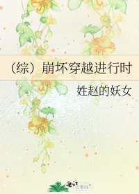 (综)崩坏穿越进行时