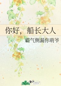 你好,船长大人