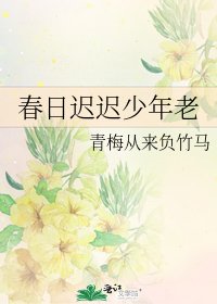 春日迟迟少年老