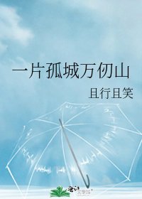 一片孤城万仞山