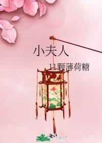 小夫人