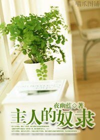 主人的奴隶(女强)