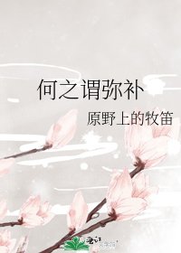 何之谓弥补