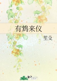 有鸩来仪