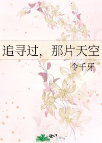 追尋過,那片天空