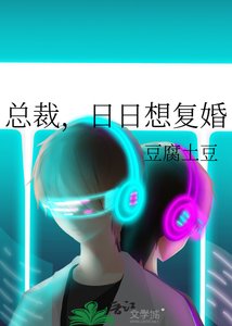 总裁,日日想复婚