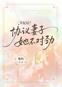 失忆后协议妻子她不对劲