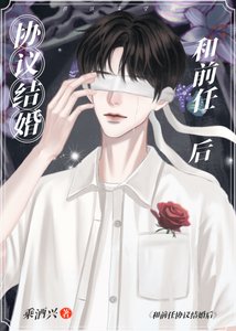 协议结婚,对象前任