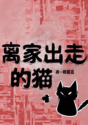 離家出走的貓