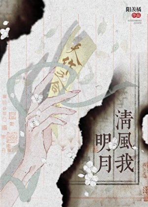 明月清风我