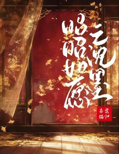 昭昭如愿之沈墨