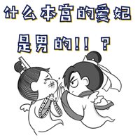 什麼本宮的皑妃是男的!!?
