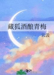 (排球少年同人)藏狐酒酿青梅