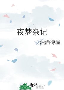 夜梦杂记