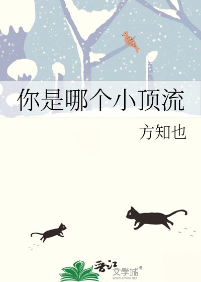 你是哪个小钉流