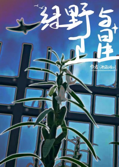 綠野與衛星(GB)